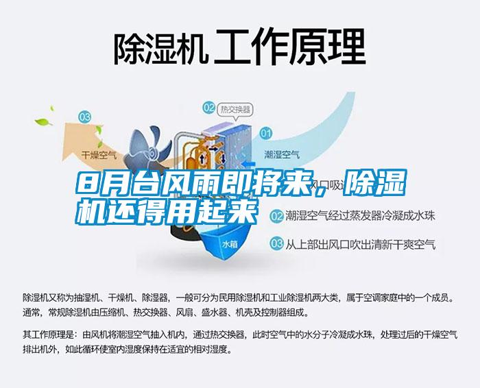 8月臺風(fēng)雨即將來，除濕機(jī)還得用起來