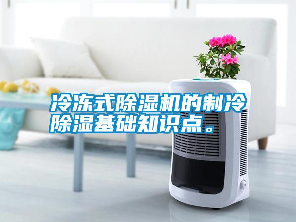 冷凍式除濕機(jī)的制冷除濕基礎(chǔ)知識點(diǎn)。