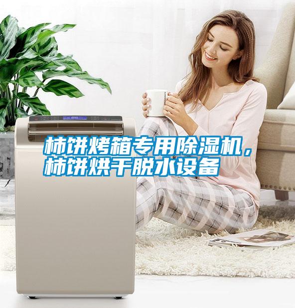 柿餅烤箱專用除濕機，柿餅烘干脫水設備