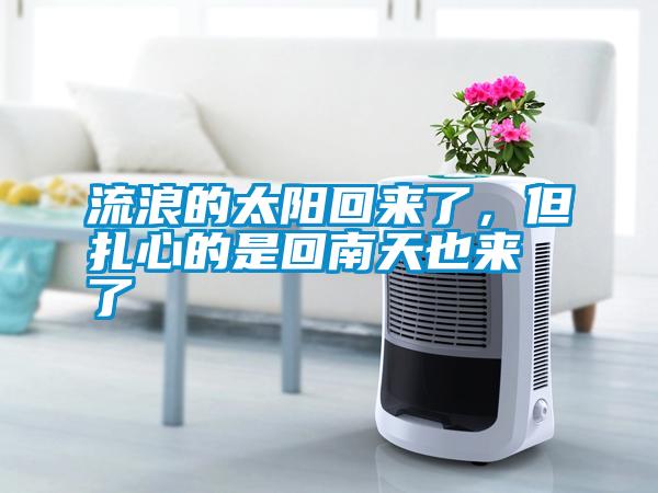 流浪的太陽回來了，但扎心的是回南天也來了