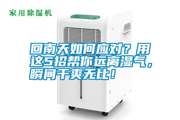 回南天如何應(yīng)對？用這5招幫你遠(yuǎn)離濕氣，瞬間干爽無比！