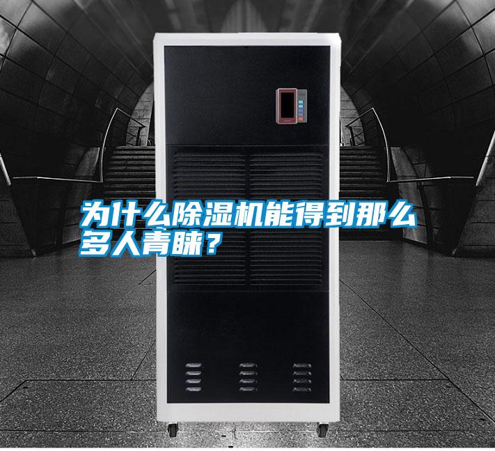 為什么除濕機能得到那么多人青睞？