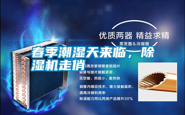 春季潮濕天來臨，除濕機走俏