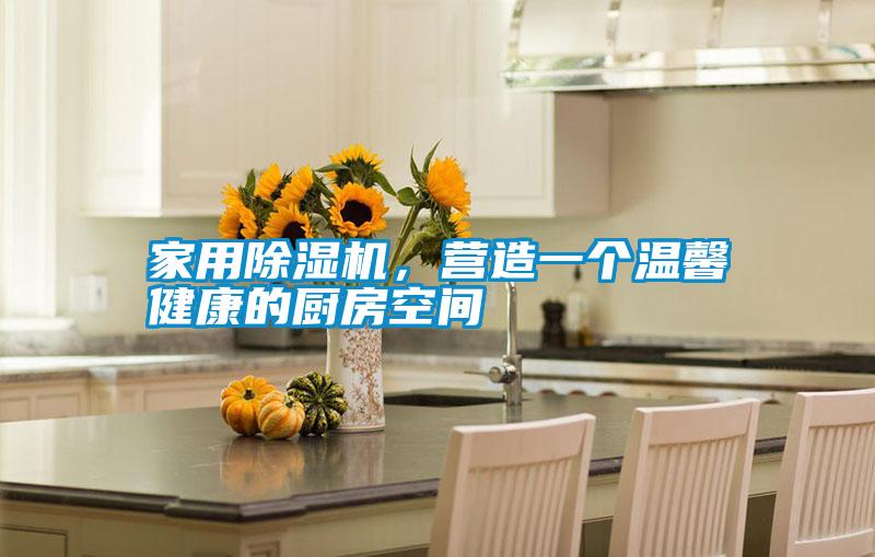 家用除濕機，營造一個溫馨健康的廚房空間