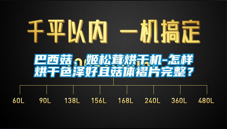 巴西菇、姬松茸烘干機-怎樣烘干色澤好且菇體褶片完整？