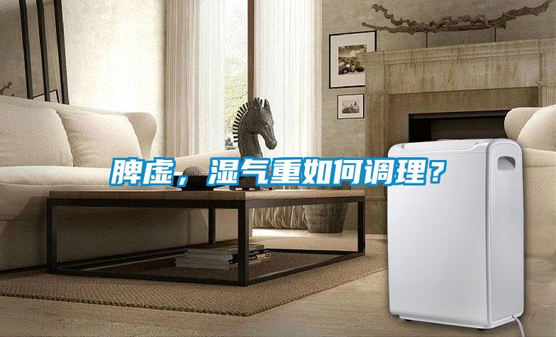 脾虛，濕氣重如何調理？