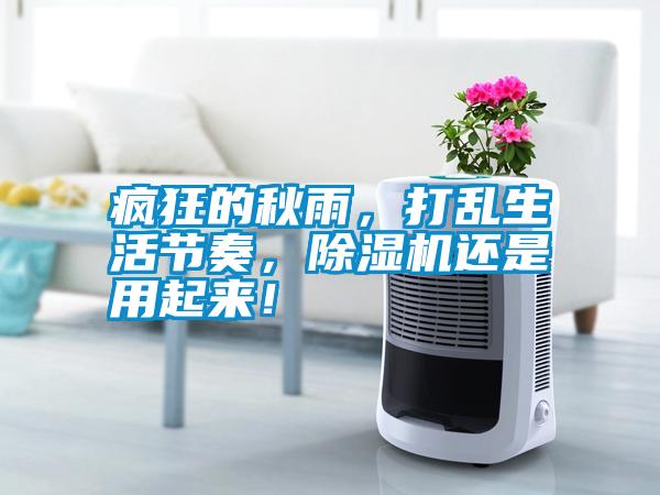 瘋狂的秋雨，打亂生活節(jié)奏，除濕機還是用起來！