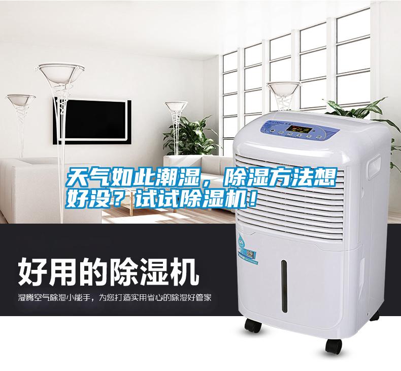 天氣如此潮濕，除濕方法想好沒？試試除濕機！