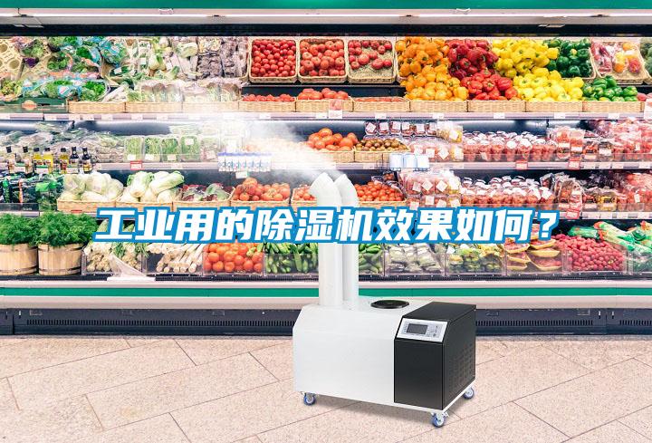 工業用的除濕機效果如何？