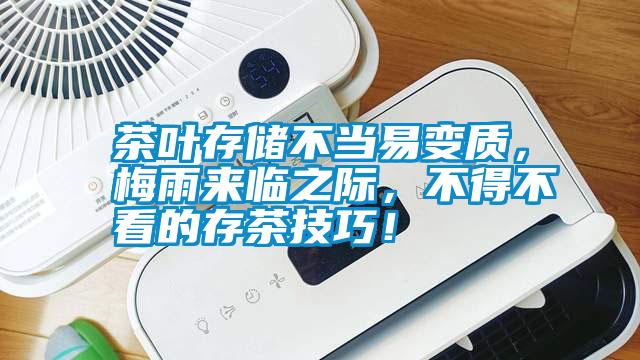 茶葉存儲不當易變質(zhì)，梅雨來臨之際，不得不看的存茶技巧！