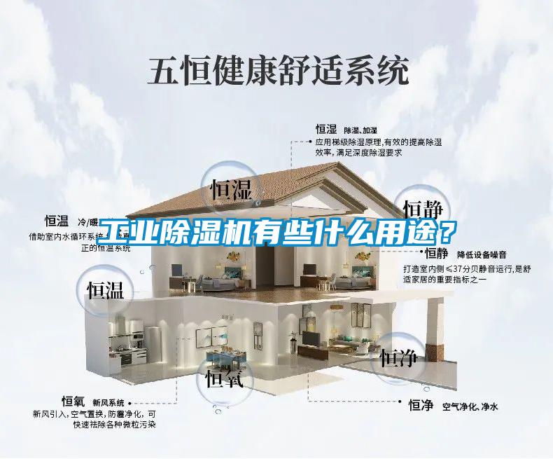 工業除濕機有些什么用途？