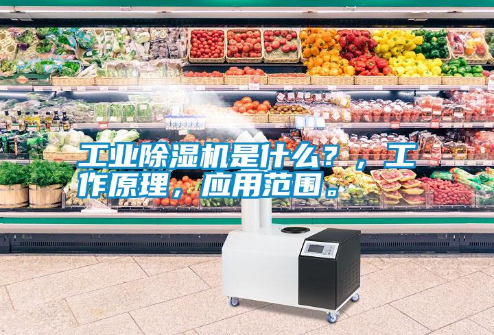 工業除濕機是什么？，工作原理，應用范圍。