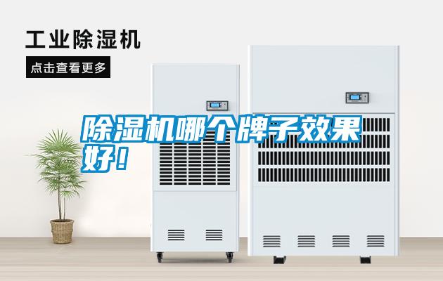 除濕機(jī)哪個(gè)牌子效果好！