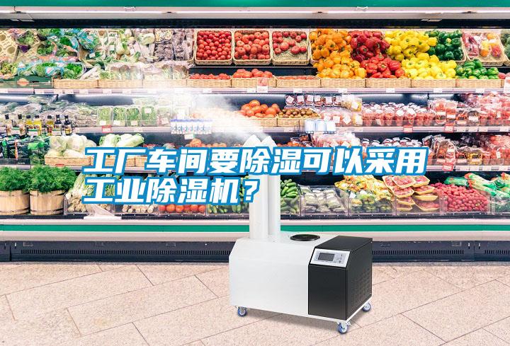 工廠車間要除濕可以采用工業(yè)除濕機？
