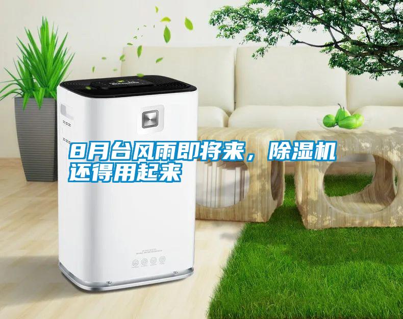 8月臺風雨即將來，除濕機還得用起來