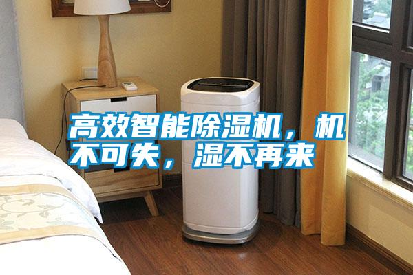 高效智能除濕機，機不可失，濕不再來