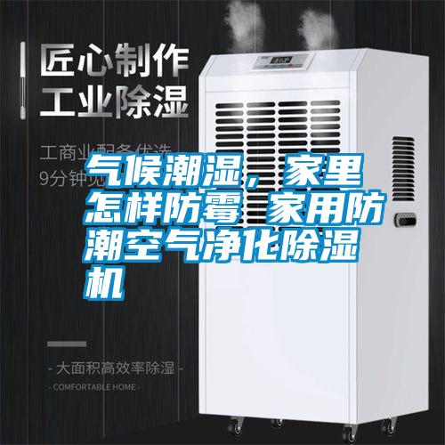 氣候潮濕，家里怎樣防霉 家用防潮空氣凈化除濕機