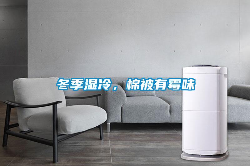 冬季濕冷，棉被有霉味