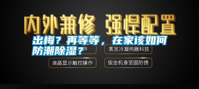 出梅？再等等，在家該如何防潮除濕？