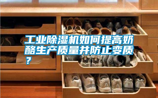 工業(yè)除濕機(jī)如何提高奶酪生產(chǎn)質(zhì)量并防止變質(zhì)？