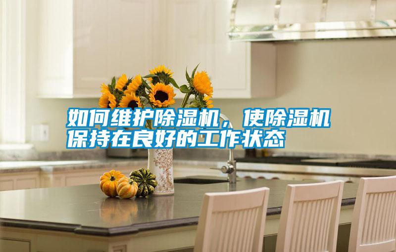 如何維護除濕機，使除濕機保持在良好的工作狀態