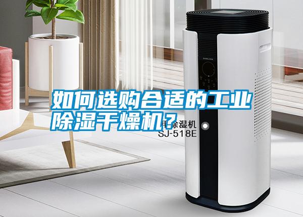 如何選購合適的工業除濕干燥機？