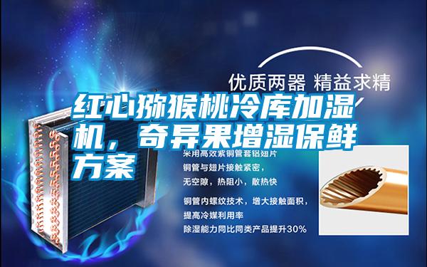 紅心獼猴桃冷庫(kù)加濕機(jī)，奇異果增濕保鮮方案