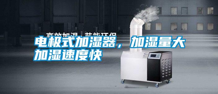電極式加濕器，加濕量大加濕速度快
