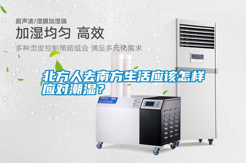 北方人去南方生活應該怎樣應對潮濕？