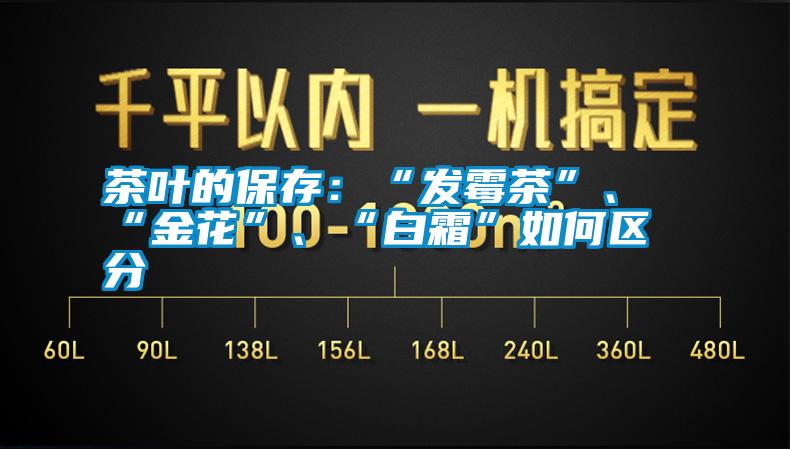 茶葉的保存：“發(fā)霉茶”、“金花”、“白霜”如何區(qū)分