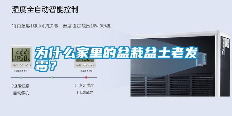 為什么家里的盆栽盆土老發霉？