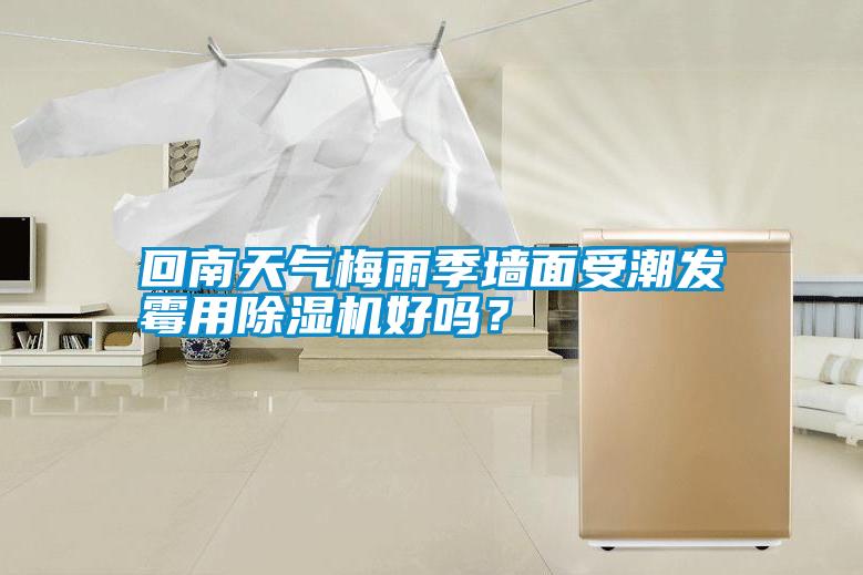 回南天氣梅雨季墻面受潮發霉用除濕機好嗎？