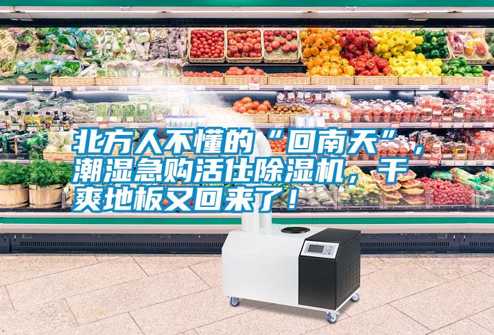 北方人不懂的“回南天”，潮濕急購活仕除濕機，干爽地板又回來了！