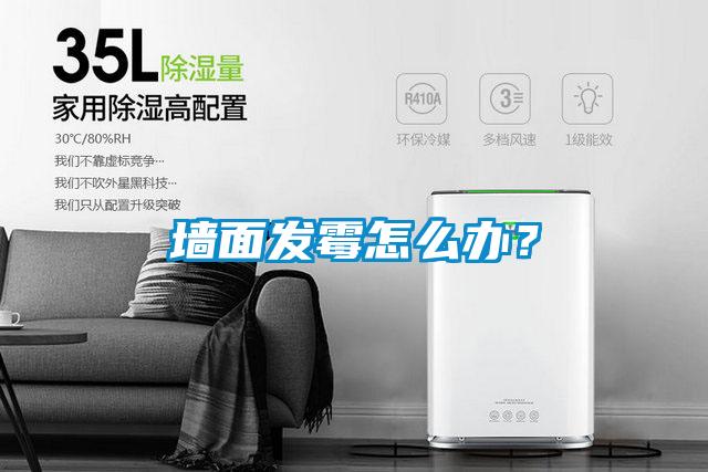 墻面發霉怎么辦？