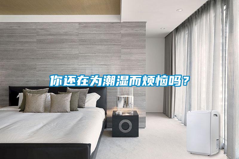 你還在為潮濕而煩惱嗎？
