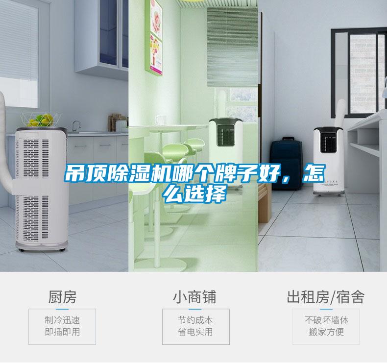 吊頂除濕機哪個牌子好，怎么選擇