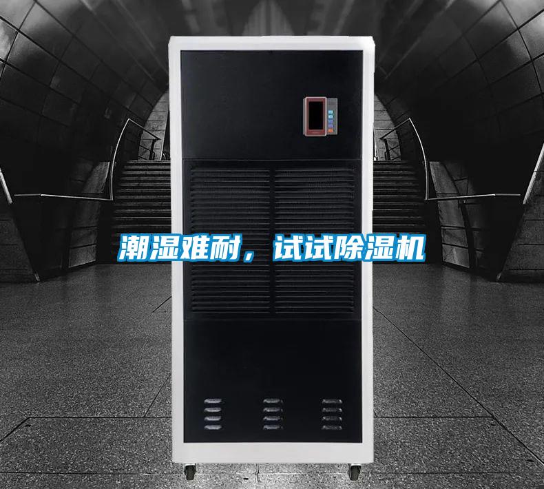 潮濕難耐，試試除濕機