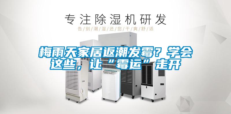 梅雨天家居返潮發(fā)霉？學(xué)會(huì)這些，讓“霉運(yùn)”走開(kāi)
