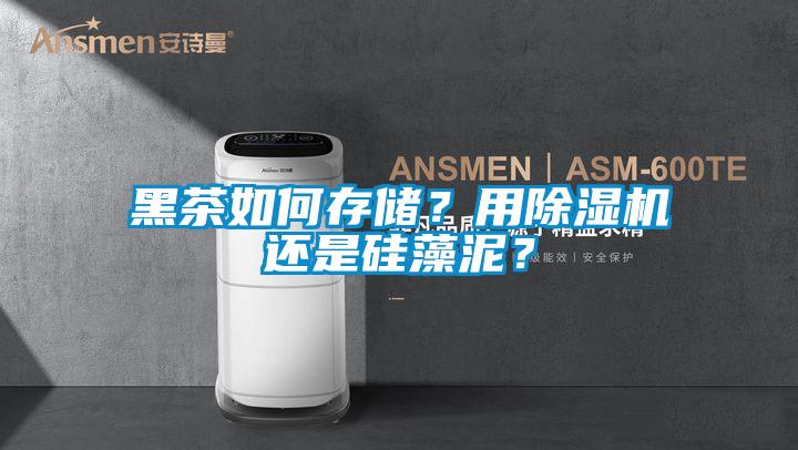 黑茶如何存儲(chǔ)？用除濕機(jī)還是硅藻泥？