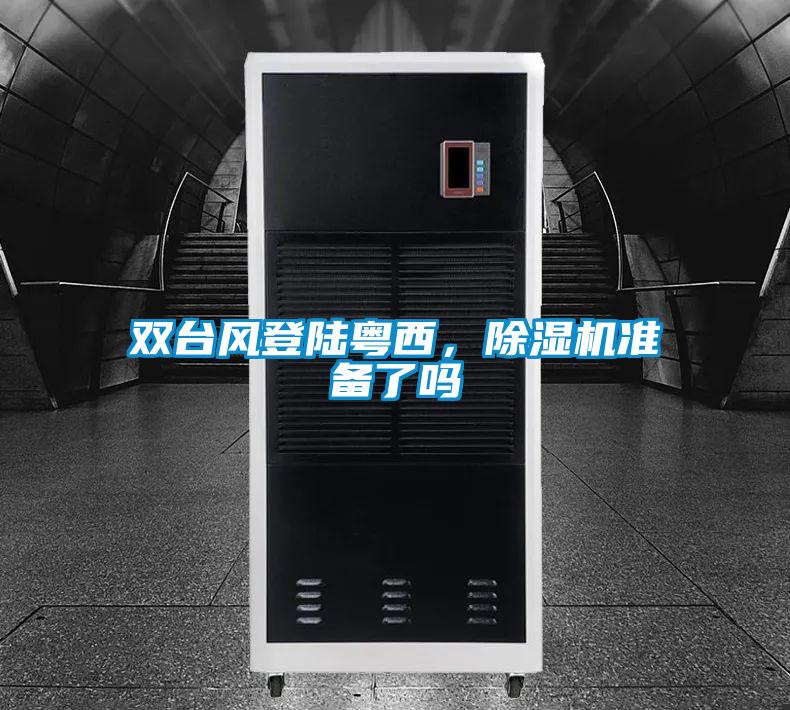 雙臺風登陸粵西，除濕機準備了嗎