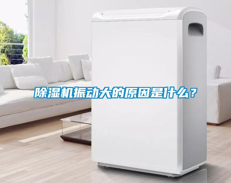 除濕機(jī)振動(dòng)大的原因是什么？