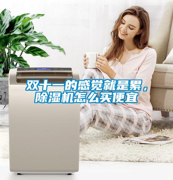 雙十一的感覺就是累，除濕機(jī)怎么買便宜