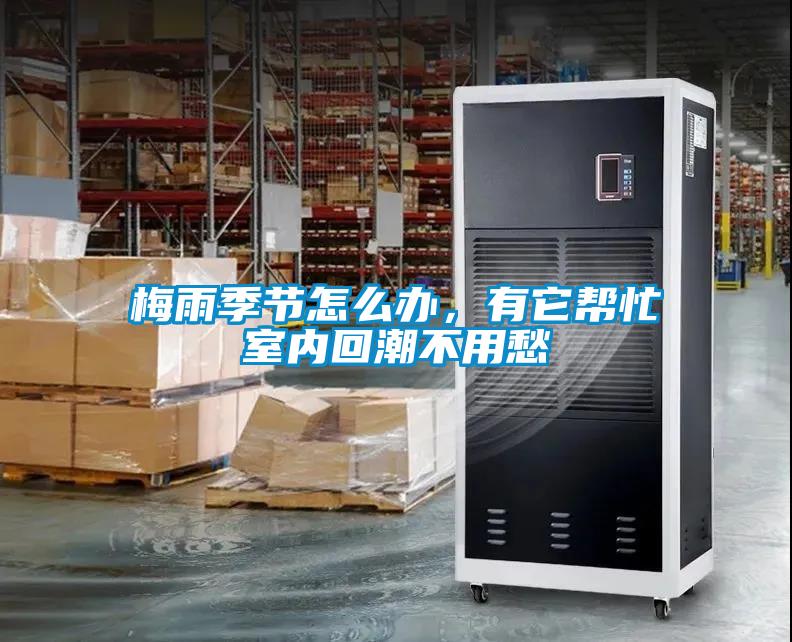 梅雨季節怎么辦，有它幫忙室內回潮不用愁