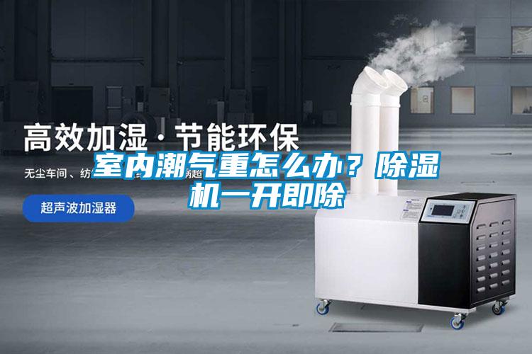 室內(nèi)潮氣重怎么辦？除濕機(jī)一開(kāi)即除