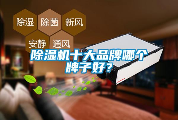 除濕機(jī)十大品牌哪個牌子好？