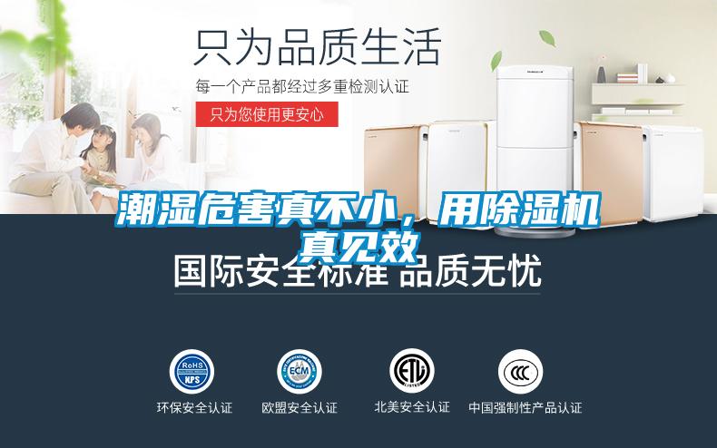潮濕危害真不小，用除濕機真見效