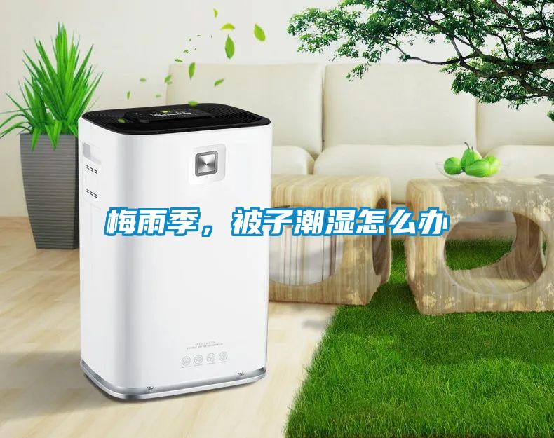 梅雨季，被子潮濕怎么辦