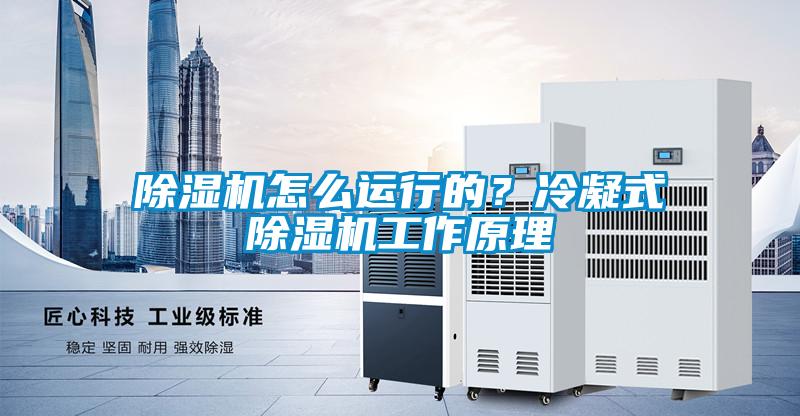 除濕機怎么運行的？冷凝式除濕機工作原理