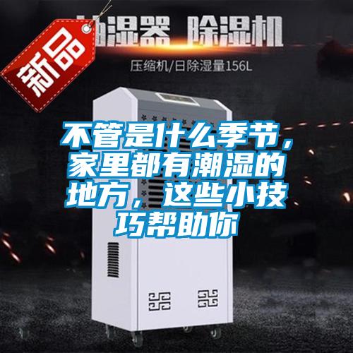 不管是什么季節，家里都有潮濕的地方，這些小技巧幫助你
