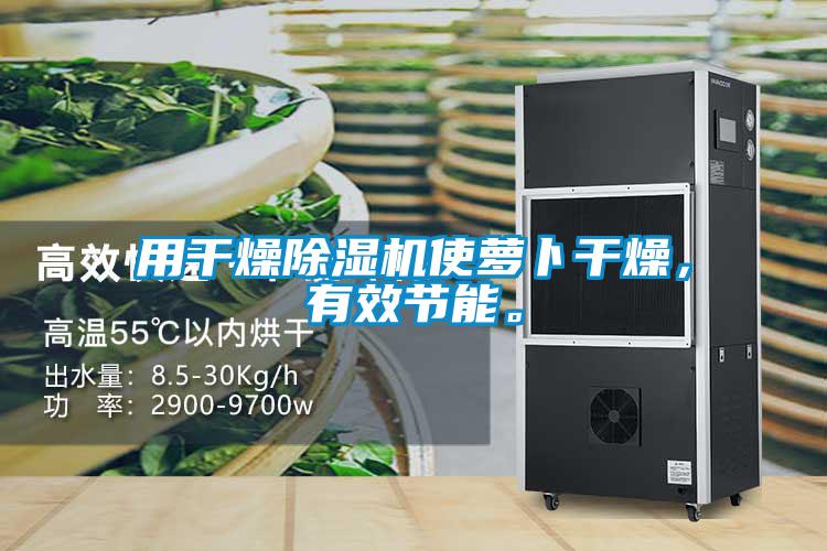 用干燥除濕機使蘿卜干燥，有效節能。